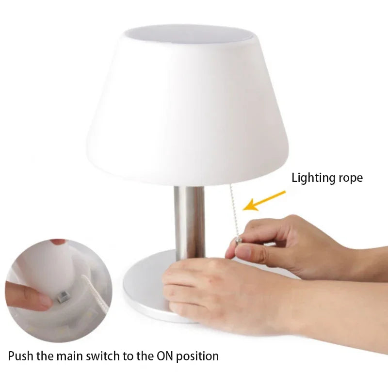 Energy Savers Wind Solar Lamp