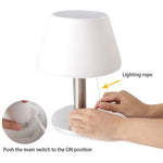 Energy Savers Wind Solar Lamp