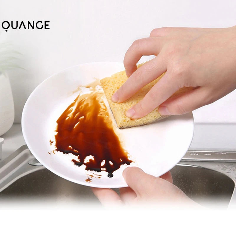 Earth Scrub 10Pcs Palm Cellulose Dishwashing Sponge