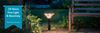Sustainable Garden Lights