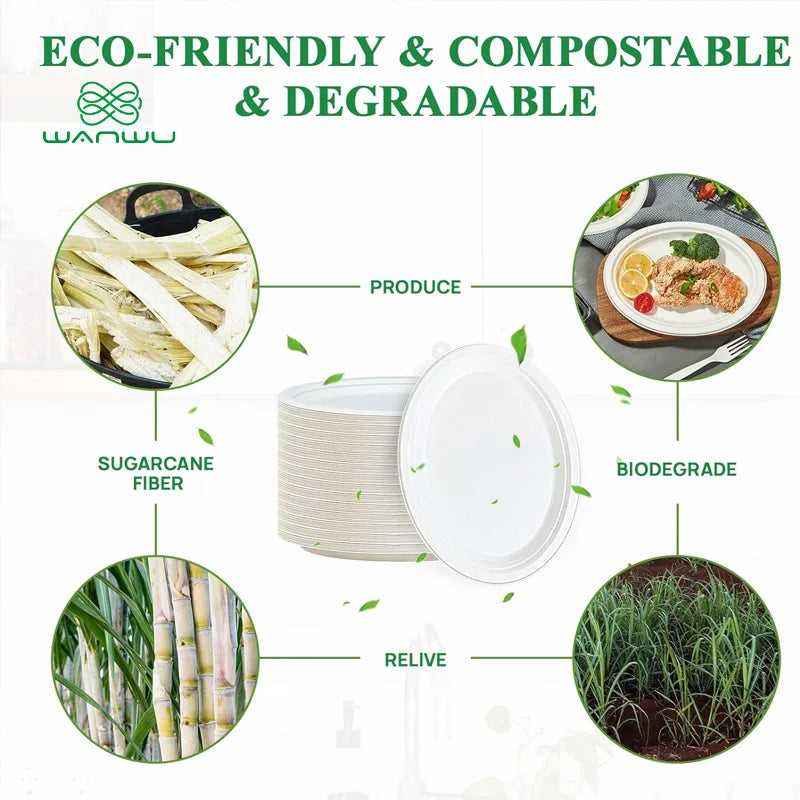 Wild Maple Dots Ecofriendly Biodegradable Plates