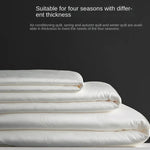 Mist Silver 100% Silk Comforter