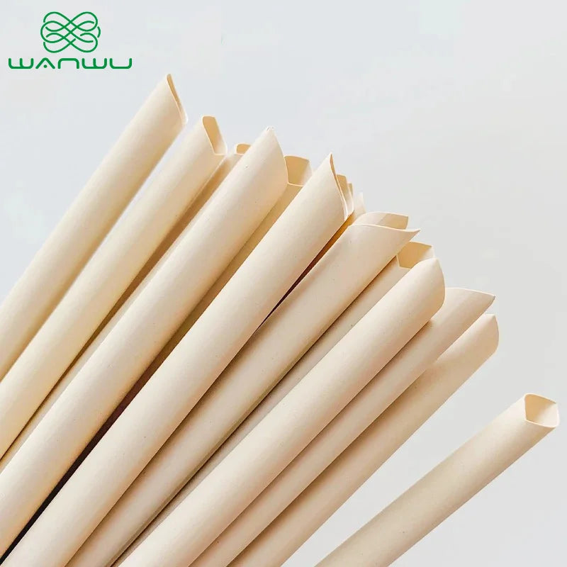 Greenwood Bamboo 50Pcs Straws